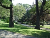 DSC08194.JPG